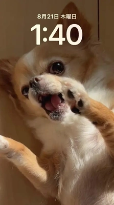 おはようございます。。。