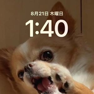 おはようございます。。。