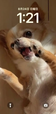 狂った体内時計。。。