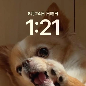 狂った体内時計。。。