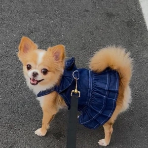 朝から、ご機嫌です?