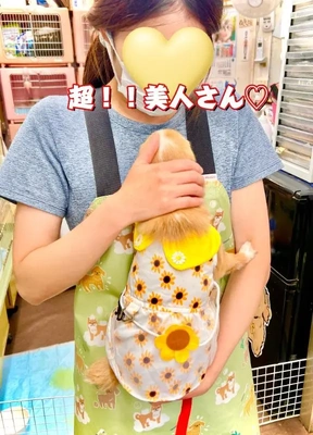 お休みに...