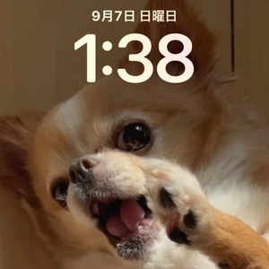 本日、起床時刻。