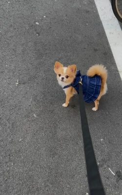 ?おはようございます?