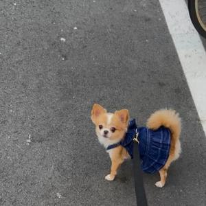 ?おはようございます?