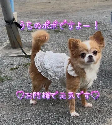 心配しないでいてね。