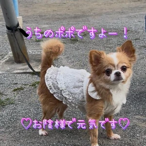 心配しないでいてね。