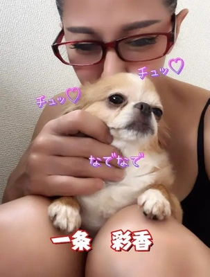 やっと見つけた!
