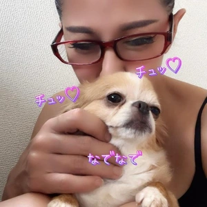 やっと見つけた！