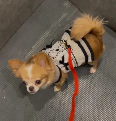 控えていた事。。。