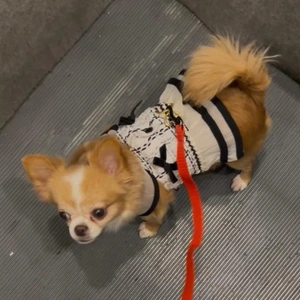控えていた事。。。