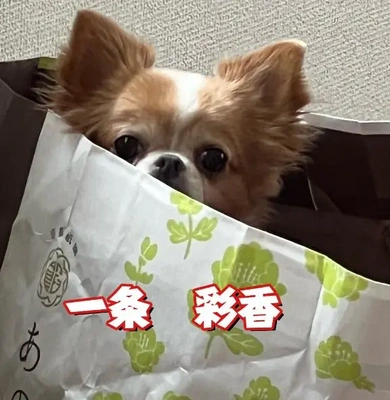 私を見てっ!