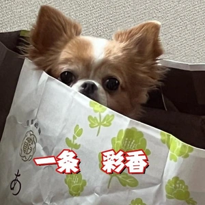 私を見てっ！