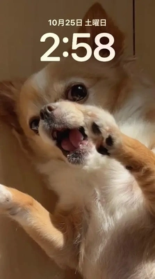 「約束は、守るよ。」