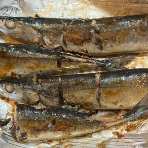 秋刀魚さん達?