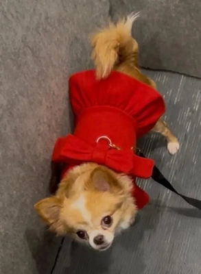 冬支度始めました。。。