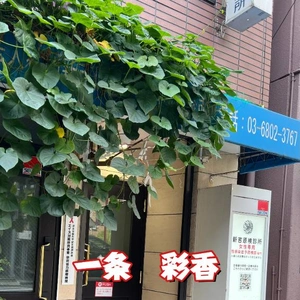 ☆検査結果☆ 異常無し!