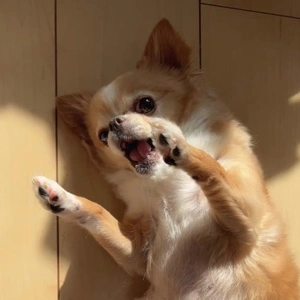 サイレントおねだり中。。。