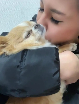 ☆あやかの勝手にランキング☆