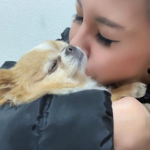 ☆あやかの勝手にランキング☆