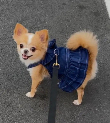 何一つ、エロく無いblog。