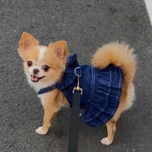 何一つ、エロく無いblog。