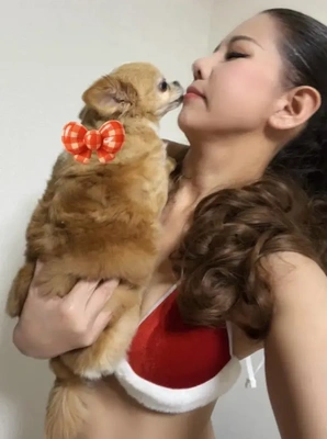 クリスマスのご予定は、お決まりですか？！