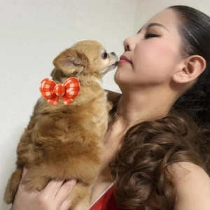 クリスマスのご予定は、お決まりですか？！