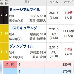 ☆結果発表☆ 有馬記念