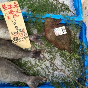 [お題]from:ディマンシェさん