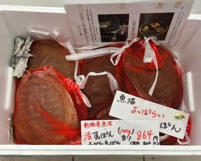 すっぽん鍋、作りますよ。