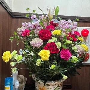 お部屋借り、でした。