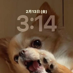 サイレントラッコ