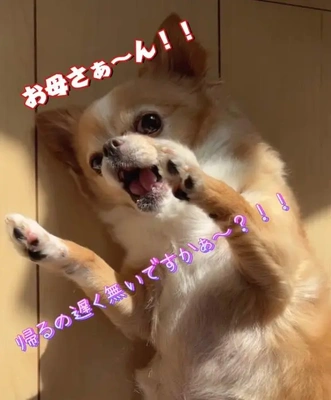 帰宅。なう。。。
