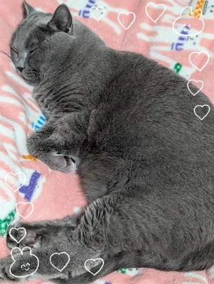 こんばんは(*^^*)