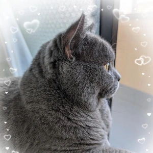 こんばんは?