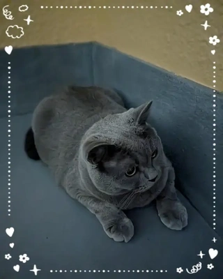 ベランダ日和??