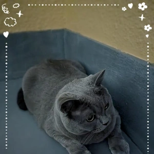 ベランダ日和??