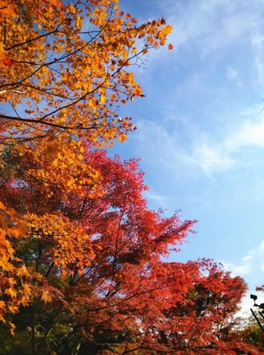 おはようございます