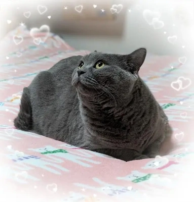 お休みすみません