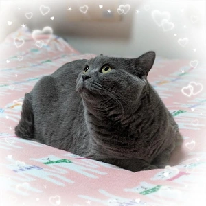 お休みすみません