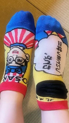 昨日の靴下