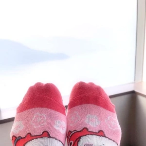 今日の靴下