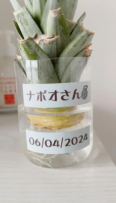 1年前のナポオさん