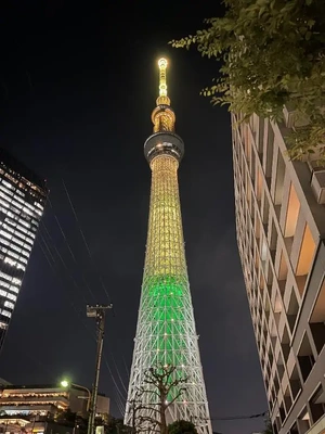 電波障害