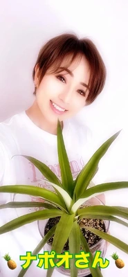 ナポオさん