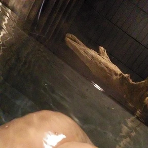 いつも…ドキドキ…ワクワク…??
