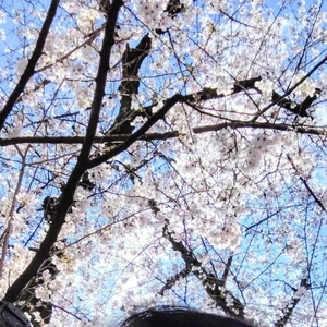 「どんな風に責められたい？」