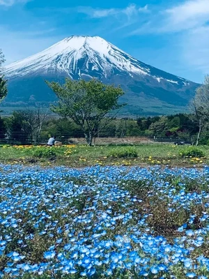 銭湯へ??