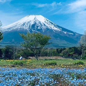 銭湯へ??